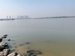 -瑶湖郊野森林公园