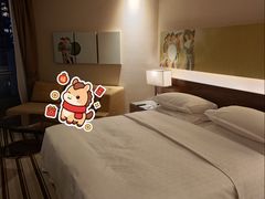 -芽庄喜来登水疗酒店