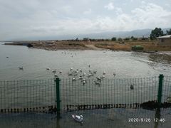 -青海湖国家重点风景名胜区