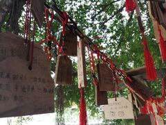 -小洲村