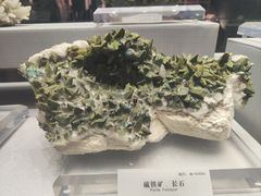 -湖南省地质博物馆