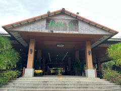 -兴隆槟榔园休闲农庄