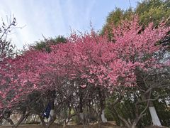 -白塘生态植物园