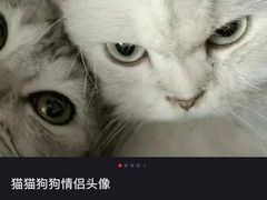-云季酒店(西关地铁站C2出囗店)