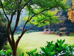 -上海市保健医疗中心(华东疗养院)