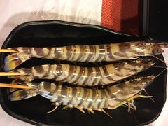 -鲜入围煮花胶鸡海鲜火锅