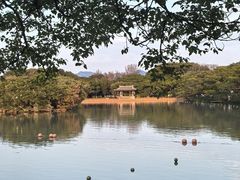 -江心屿景区
