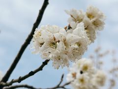 -国际非物质文化遗产博览园