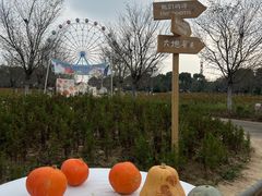 -云幽谷旅游区