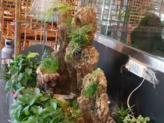 -铁锅炖灶台鱼老三炖鱼馆