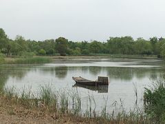 -梁鸿国家湿地公园