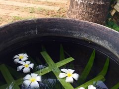 -椰树岛海滩度假村