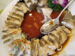 -博雅渔港·融合菜(维也纳国际大酒店)