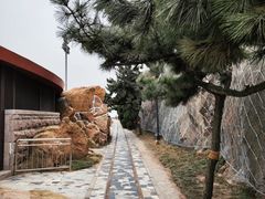 -青岛海滨风景区小青岛