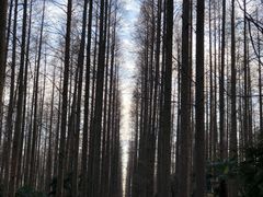 -上海怡沁园度假酒店