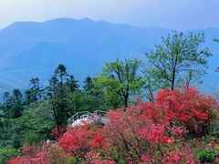 -莫干山风景区