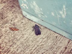 -碓臼峪自然风景区