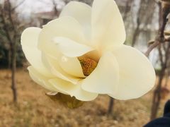 -山东师范大学(千佛山校区)