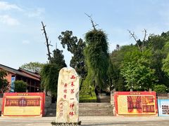 -中国观音故里广德景区