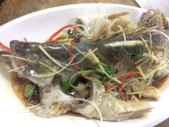 -京都老蔡记(伊河路店)