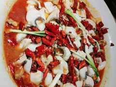 -青花椒花椒鱼(合生汇店)