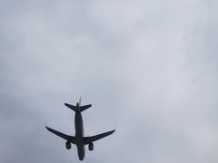 -空港花田景区