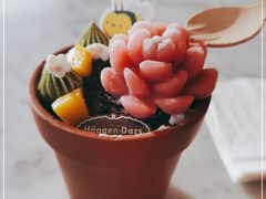 -哈根达斯(华星店)