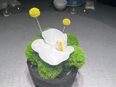 -南堂馆·新川菜(春熙路店)