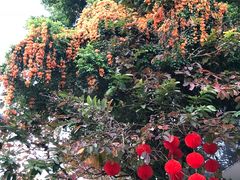 -人民公园(罗湖区)