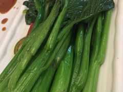 -新君悦国际酒店