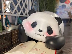 -轩客会(熊猫书店)