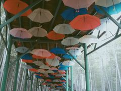 -陶祖圣境风景区