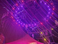 -俄罗斯国家大马戏团