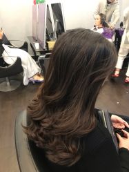 -维卡 Salon