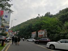 -大与文体度假游泳中心