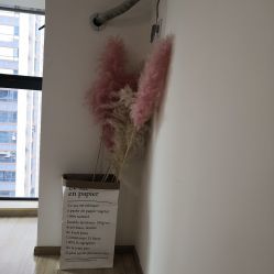 -Doris多里斯半永久纹眉·SMP纹发·发际线
