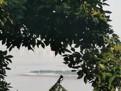-信号山公园