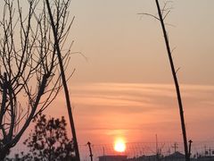 -茶肆(袁家村店)