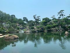 -罗红摄影艺术馆