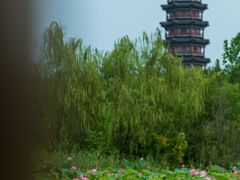 -江苏三台山国家森林公园