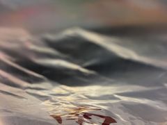 -南宋胡记(杭州体育场路店)
