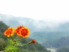 -燕子河大峡谷天坑仙境