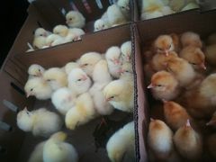 -兴芮温泉度假区