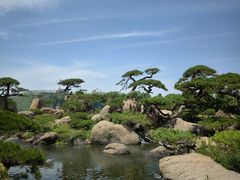 -罗红摄影艺术馆