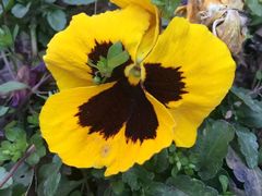 -南京维景国际大酒店(南京博物院店)