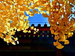 -红螺寺