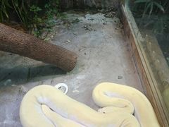 -上海大自然野生昆虫馆(东方明珠·爬宠昆虫探索中心)