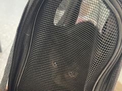 -四月宠物医院·猫专科·心脏专科·内科(转塘店)