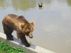 -上海野生动物园