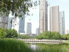 -大望京公园